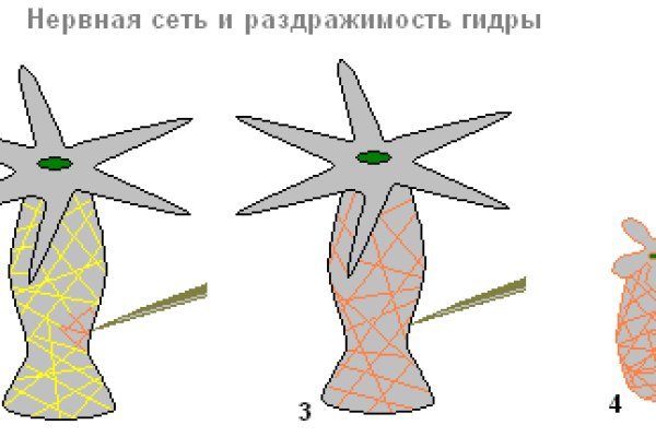 Зеркало сайта мориарти mega