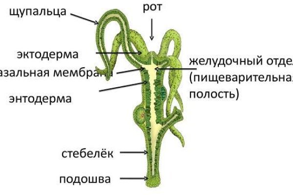 Сайт мега через впн